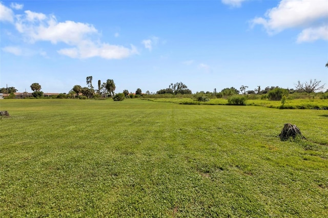 view of yard with a rural view