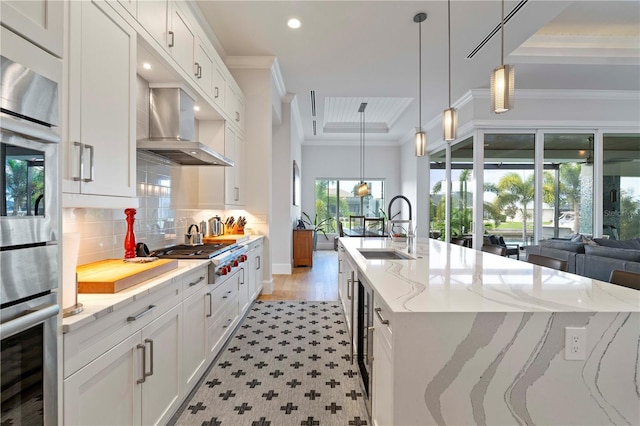 kitchen featuring a healthy amount of sunlight, exhaust hood, sink, and a raised ceiling