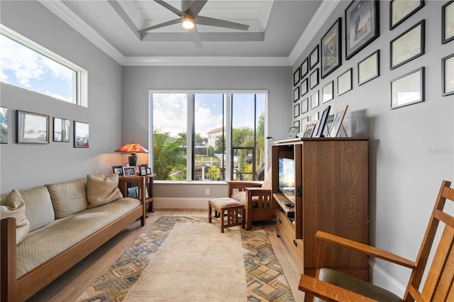 sitting room with a tray ceiling, hardwood / wood-style floors, and ceiling fan