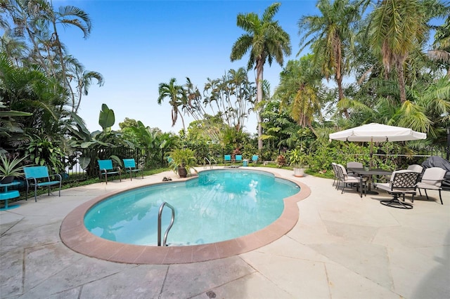 view of pool featuring a patio area