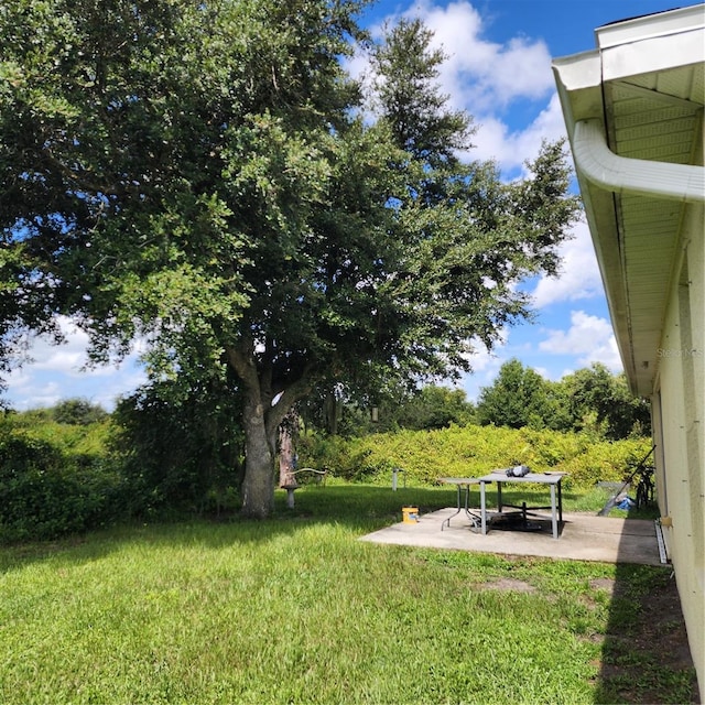 view of yard with a patio area