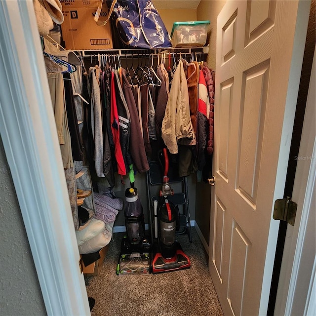 spacious closet with carpet floors