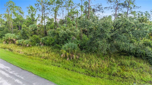 Listing photo 3 for Baywood Dr, North Port FL 34288