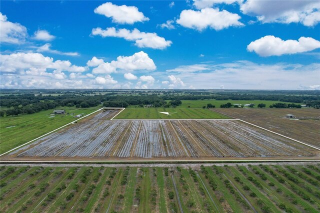 2404 SE Rice St, Arcadia, FL 34266 - photo 8