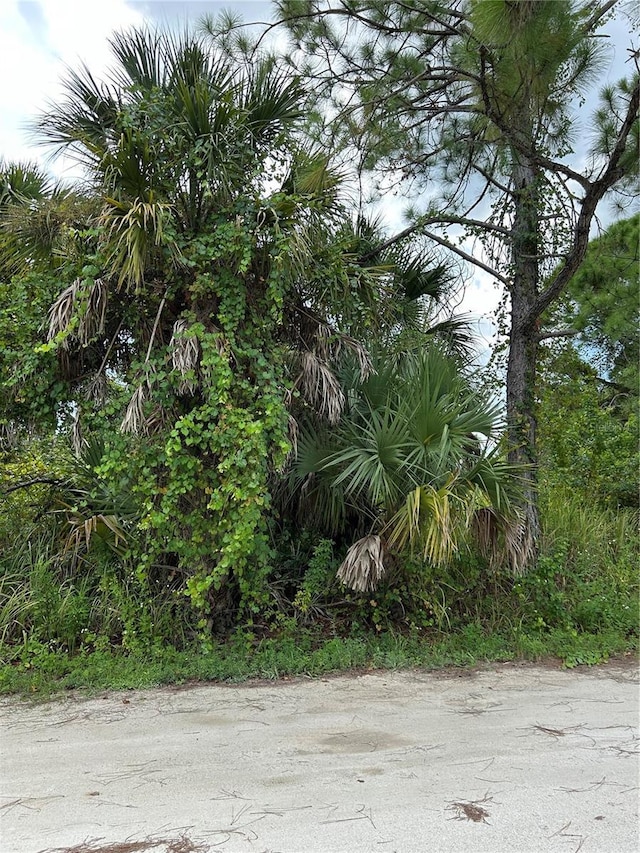 1235 Sulstone Dr, Punta Gorda, FL 33983