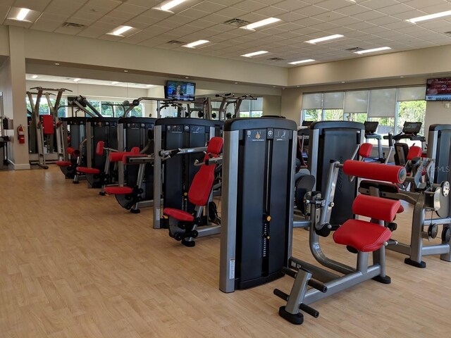 workout area with a paneled ceiling and light hardwood / wood-style flooring