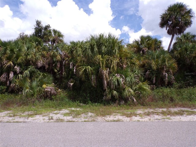 Listing photo 2 for Las Almanos Ave, North Port FL 34288