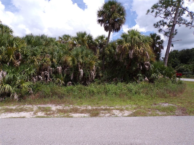 Las Almanos Ave, North Port, FL 34288 - photo 1