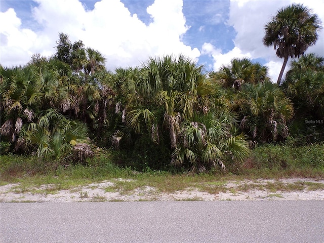 Listing photo 2 for Las Almanos Ave, North Port FL 34288