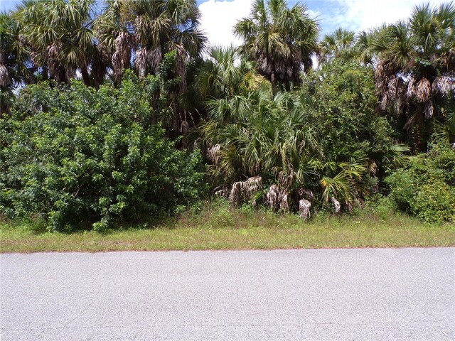 Las Almanos Ave, North Port, FL 34288 - photo 12
