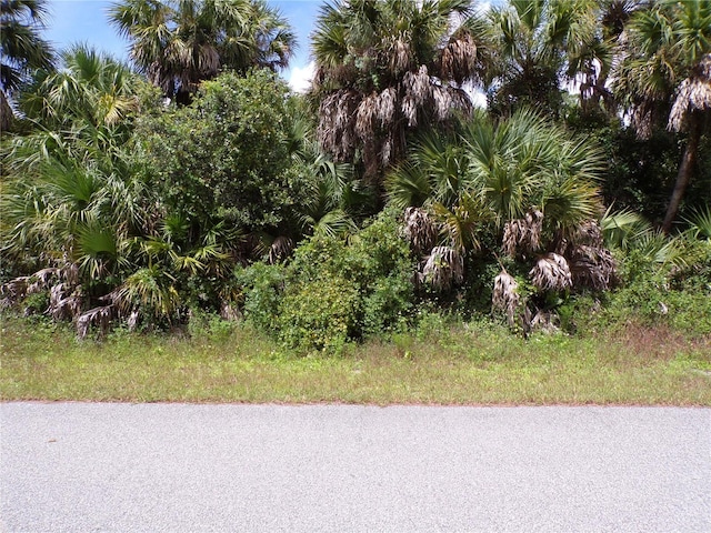 Las Almanos Ave, North Port, FL 34288 - photo 16