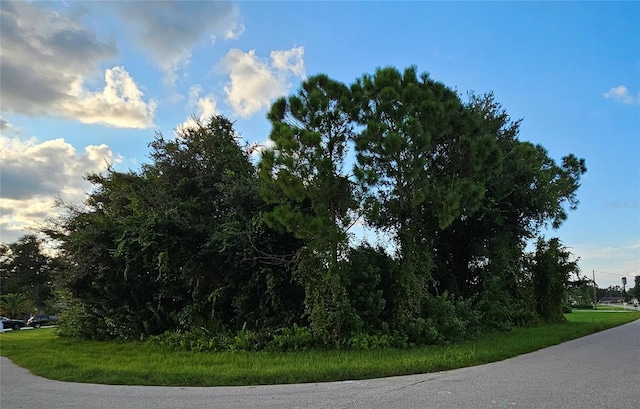 133 Valdiva St, Punta Gorda FL, 33983 land for sale