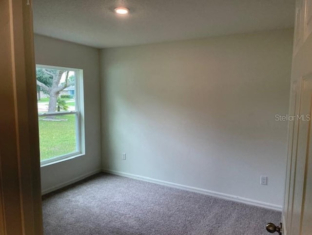 empty room with a textured ceiling and carpet flooring