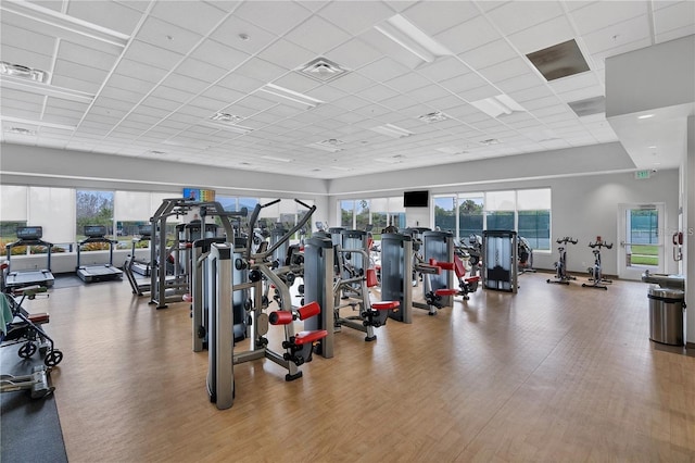 gym with plenty of natural light, a drop ceiling, and hardwood / wood-style flooring