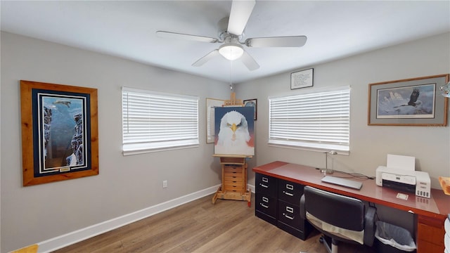 office area featuring ceiling fan, light hardwood / wood-style floors, and a healthy amount of sunlight