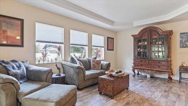 living room featuring a tray ceiling, hardwood / wood-style floors, and plenty of natural light