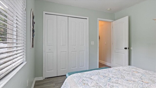 bedroom featuring a closet and light wood-type flooring