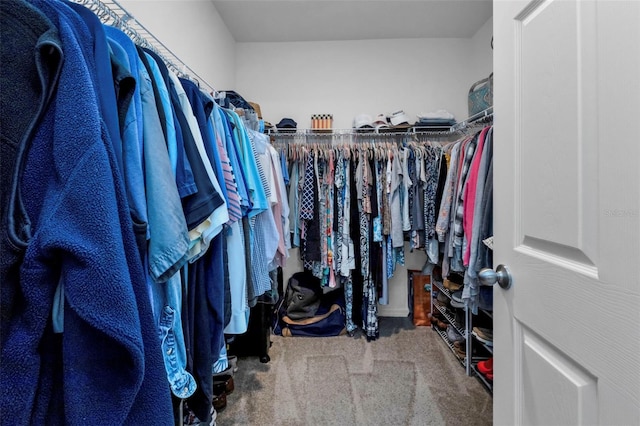 walk in closet with carpet