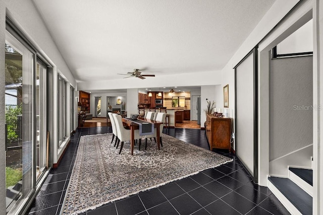 dining room featuring plenty of natural light and ceiling fan