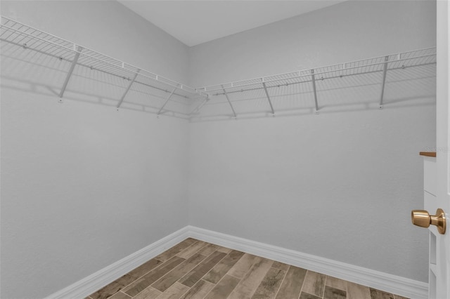 spacious closet featuring wood-type flooring