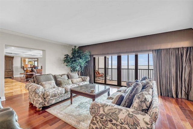 living room featuring crown molding and hardwood / wood-style floors