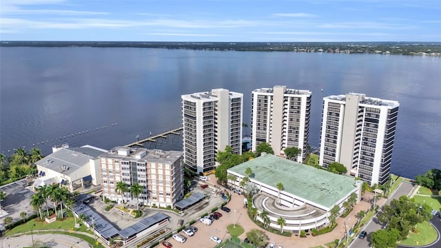 bird's eye view with a water view