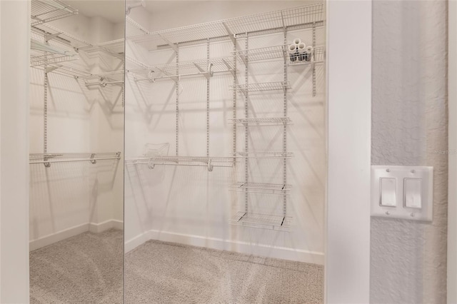 spacious closet with carpet flooring