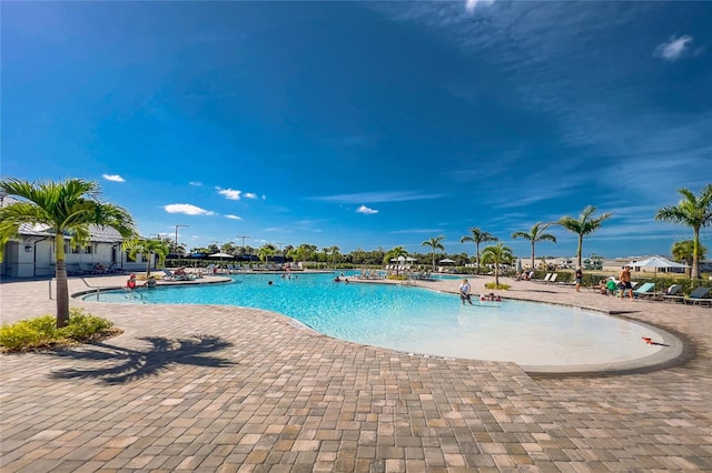 view of pool with a patio