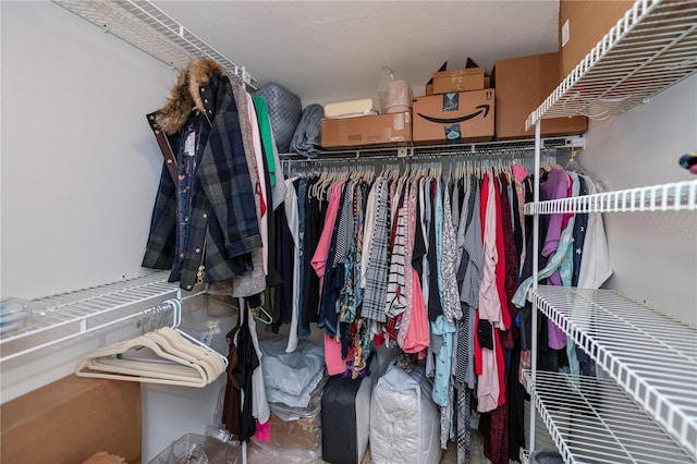 view of walk in closet