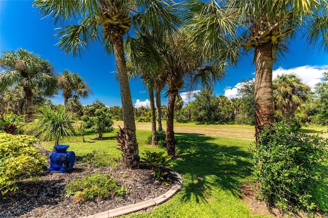 16407 San Edmundo Rd, Punta Gorda, FL 33955 - view of green lawn