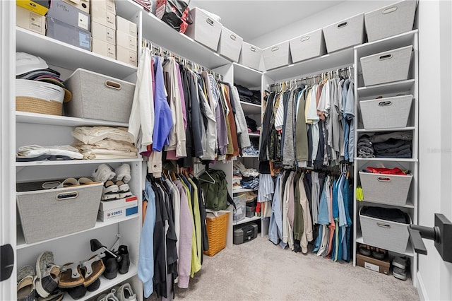 walk in closet with carpet