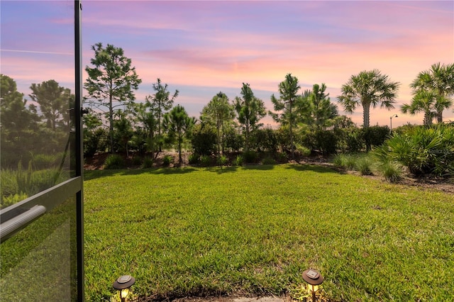 view of yard at dusk