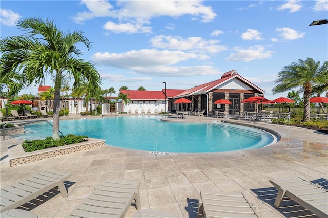 view of swimming pool with a patio area