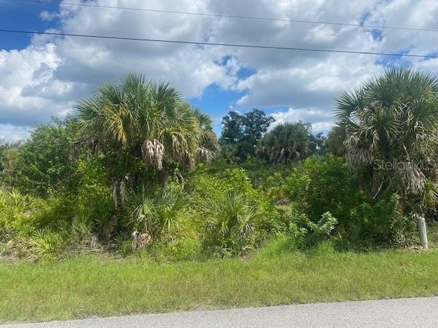 186 Venango St, Port Charlotte, FL 33954 - photo 3
