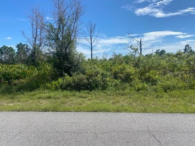 12101 Abrams Ave, Port Charlotte FL, 33981 land for sale