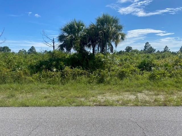 12101 Abrams Ave, Port Charlotte, FL 33981