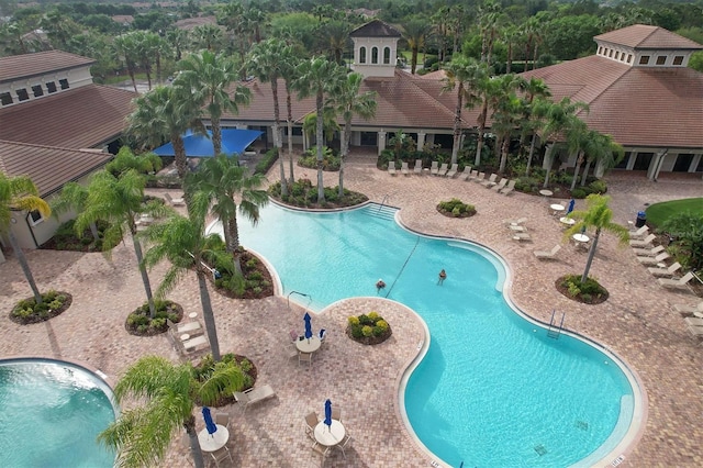 view of swimming pool with a patio area