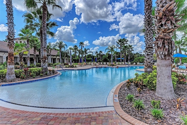 view of swimming pool