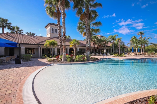 view of pool with a patio