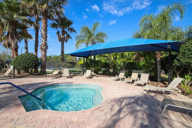 view of pool featuring a patio area