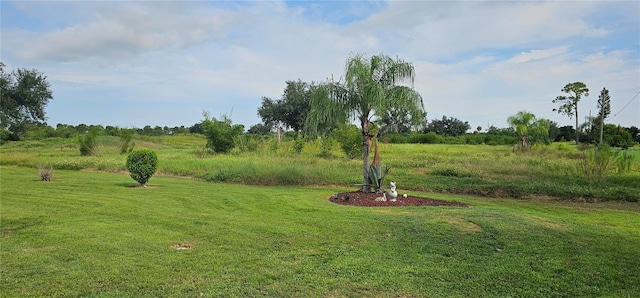 view of yard featuring a rural view