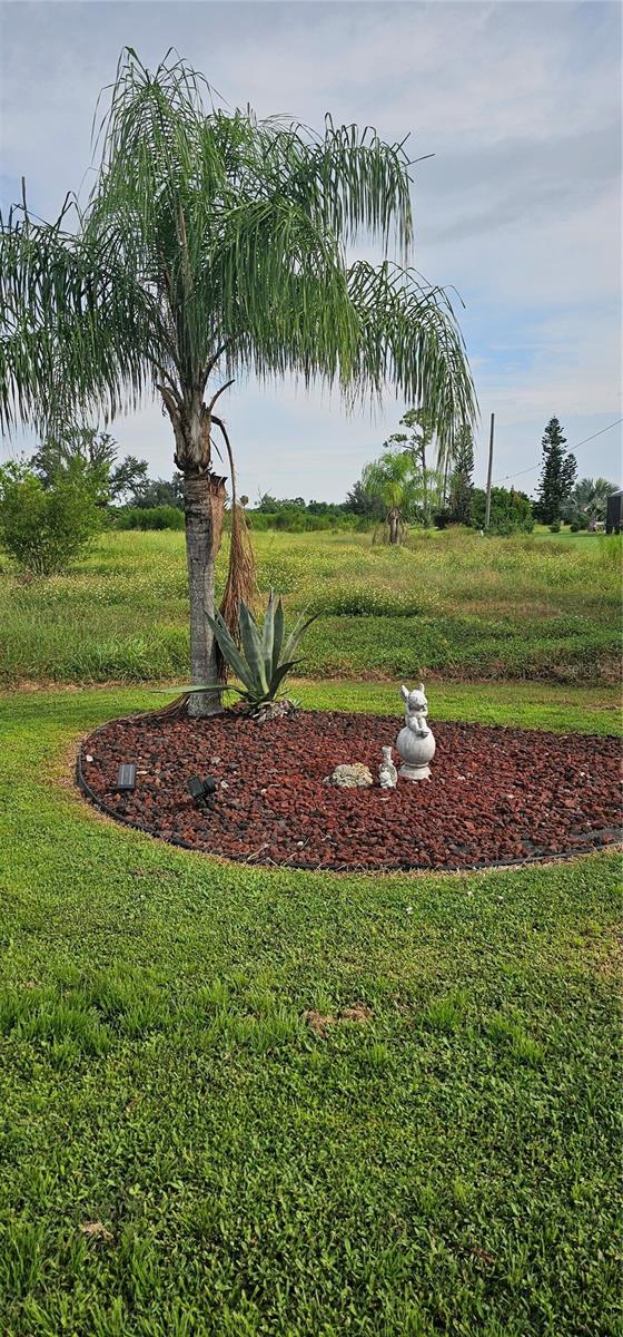 view of yard featuring a rural view