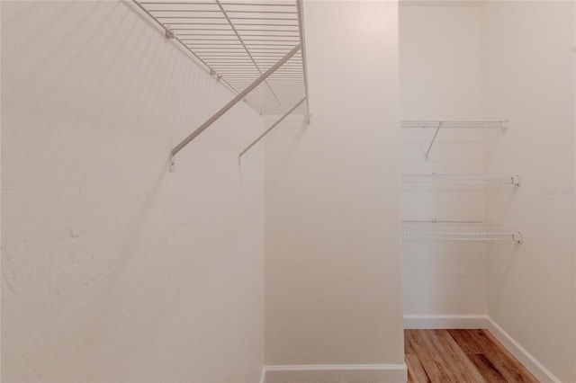 spacious closet with wood-type flooring