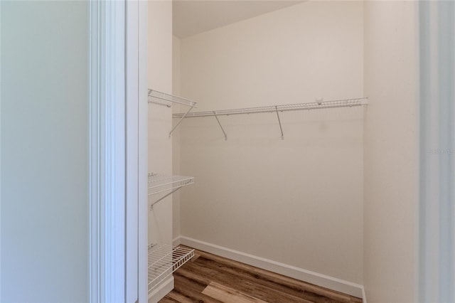 walk in closet featuring hardwood / wood-style floors