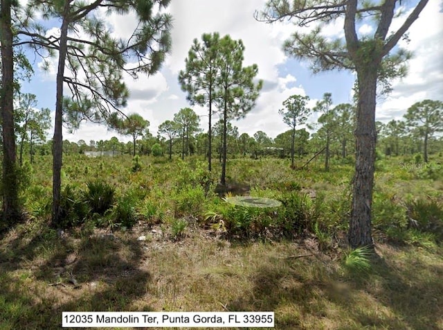 Listing photo 2 for 12035 Mandolin Ter, Punta Gorda FL 33955