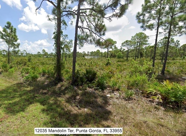 Listing photo 3 for 12035 Mandolin Ter, Punta Gorda FL 33955