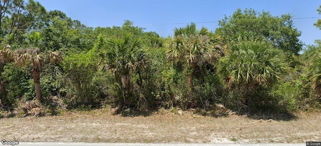 327 Ravenswood Blvd, Port Charlotte FL, 33954 land for sale