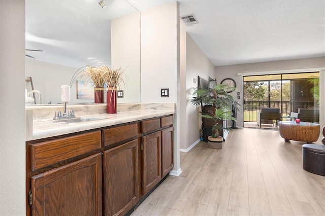 bathroom with ceiling fan, hardwood / wood-style floors, and vanity