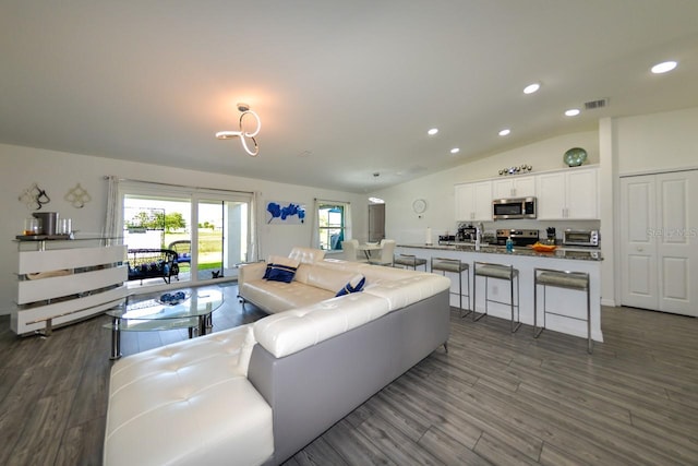 living room featuring lofted ceiling and dark wood-type flooring