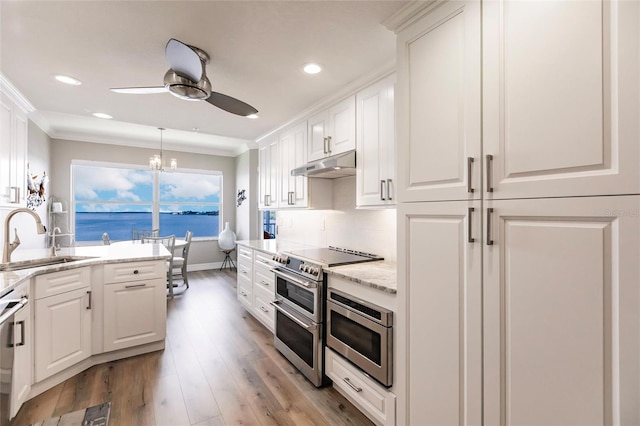 kitchen with crown molding, a sink, appliances with stainless steel finishes, under cabinet range hood, and ceiling fan with notable chandelier